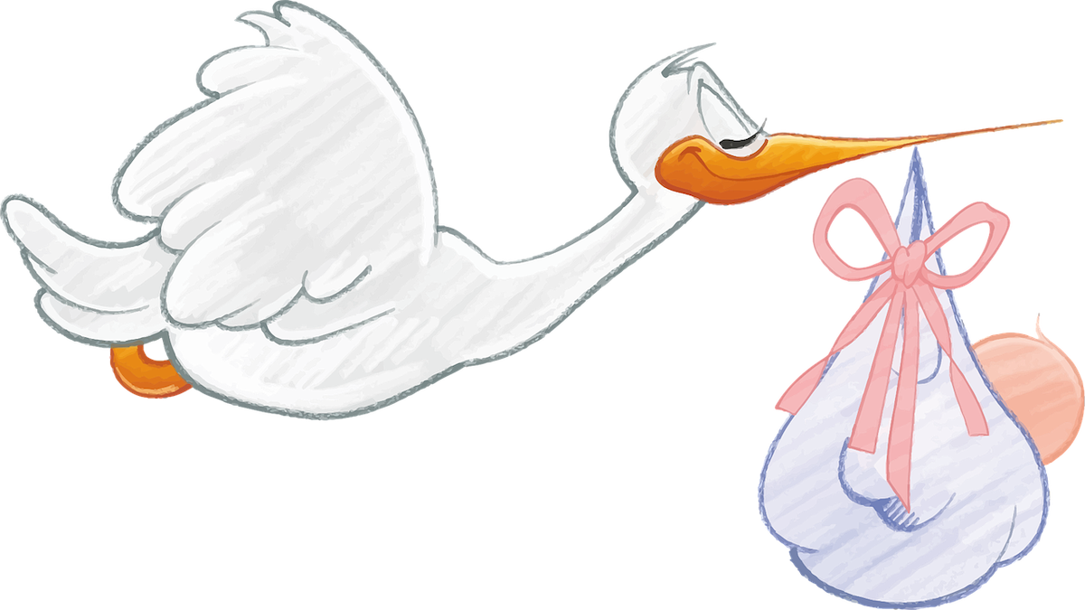 The Case Against Surrogacy